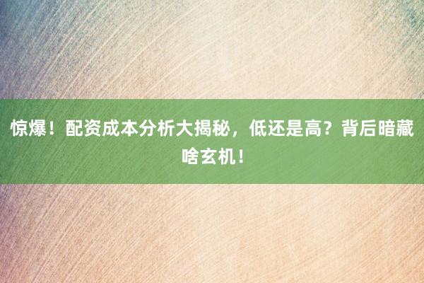 惊爆！配资成本分析大揭秘，低还是高？背后暗藏啥玄机！
