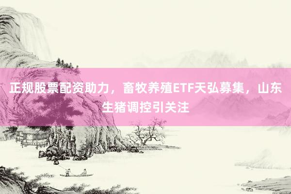 正规股票配资助力，畜牧养殖ETF天弘募集，山东生猪调控引关注