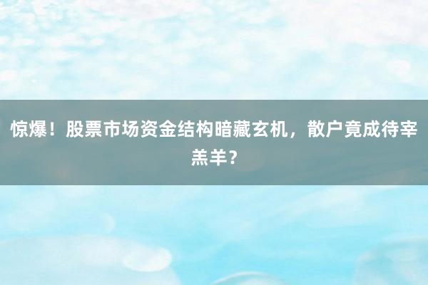 惊爆！股票市场资金结构暗藏玄机，散户竟成待宰羔羊？