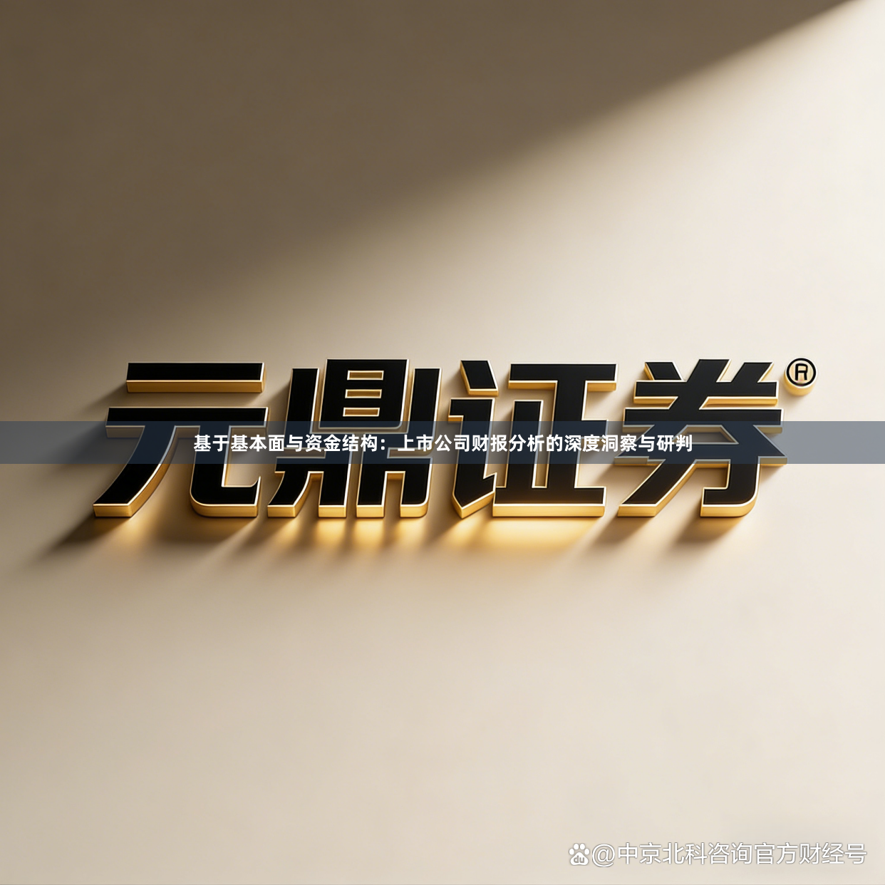 基于基本面与资金结构：上市公司财报分析的深度洞察与研判
