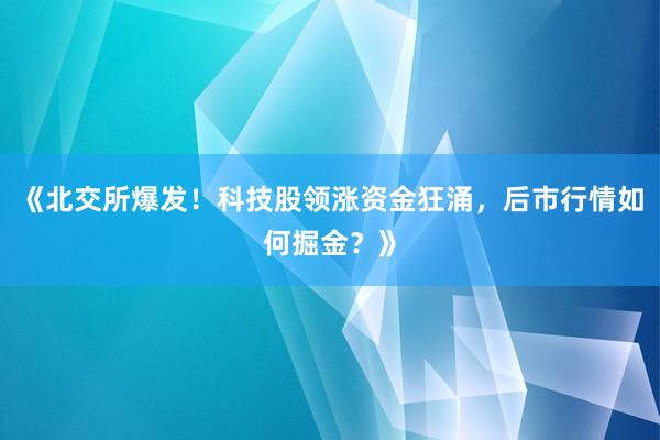 《北交所爆发！科技股领涨资金狂涌，后市行情如何掘金？》