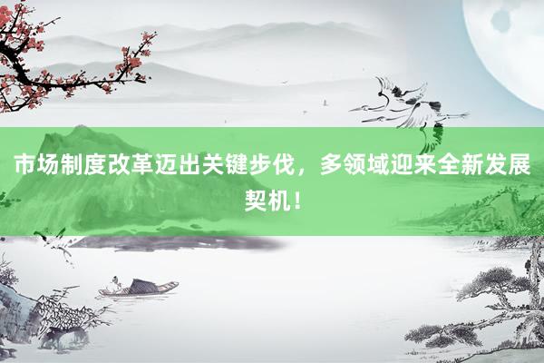 市场制度改革迈出关键步伐，多领域迎来全新发展契机！