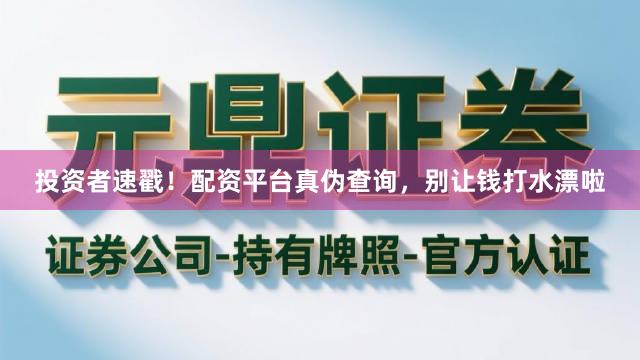 投资者速戳！配资平台真伪查询，别让钱打水漂啦