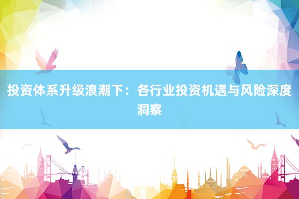 投资体系升级浪潮下：各行业投资机遇与风险深度洞察