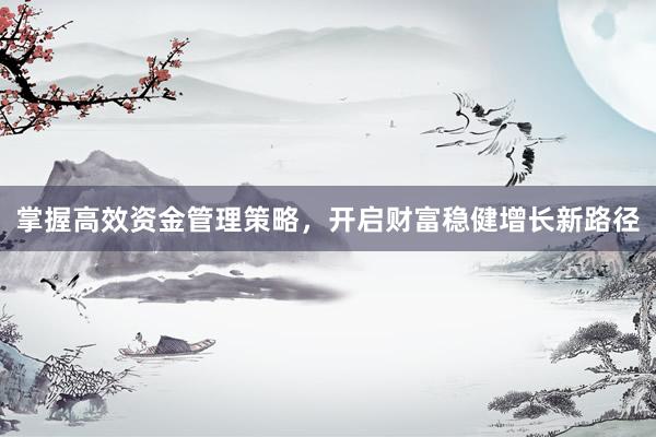 掌握高效资金管理策略，开启财富稳健增长新路径