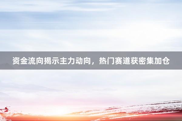 资金流向揭示主力动向，热门赛道获密集加仓